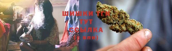сатива Струнино