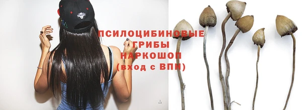 мдма Пересвет