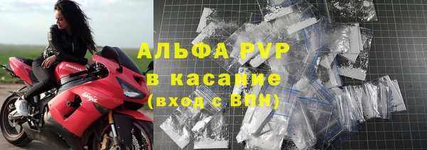 трава Осинники