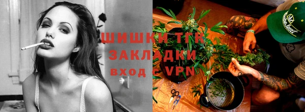 трава Осинники