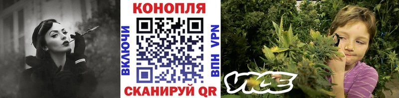 Бошки Шишки THC 21%  закладка  shop какой сайт  Светлогорск 